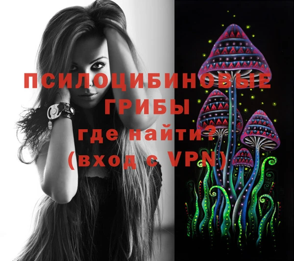 ешки Медногорск