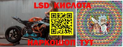 прущие грибы Заволжье