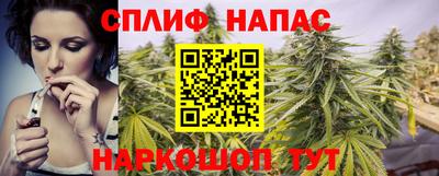 ешки Будённовск