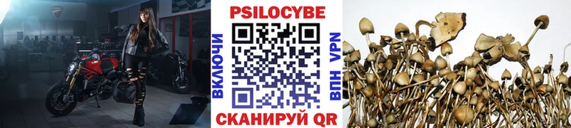 Галлюциногенные грибы прущие грибы  МЕГА онион  Новоуральск 